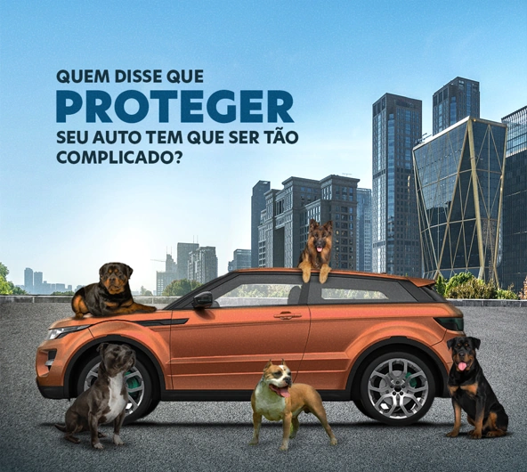 Melhor seguro para carros em Porto Seguro